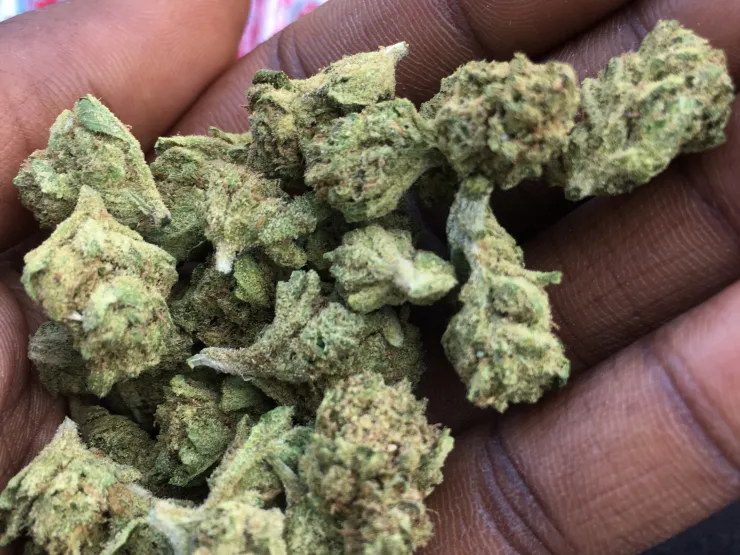 Buy Birthday Cake strain online in the uk and Birthday Cake strain for sale